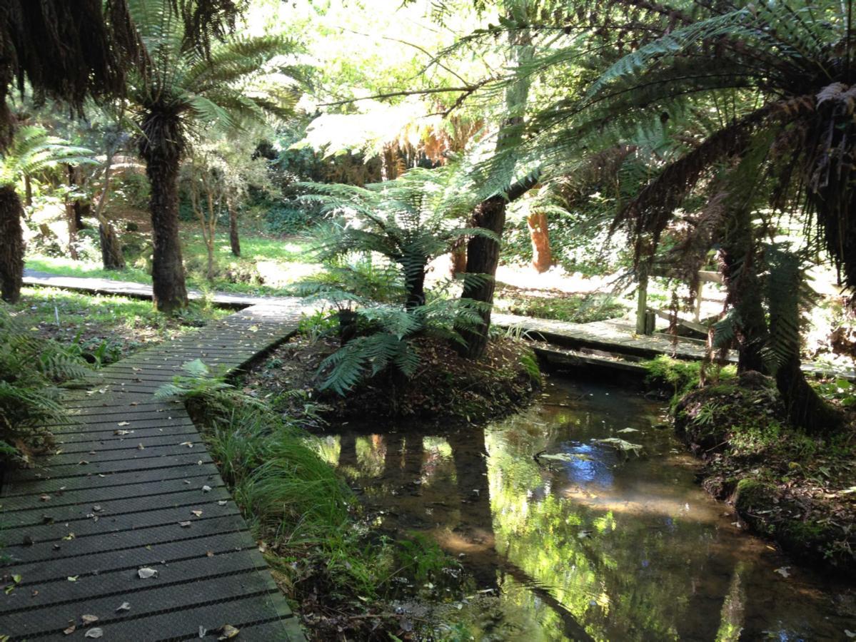Golden Springs Motel, Holiday Park 罗托鲁阿 外观 照片