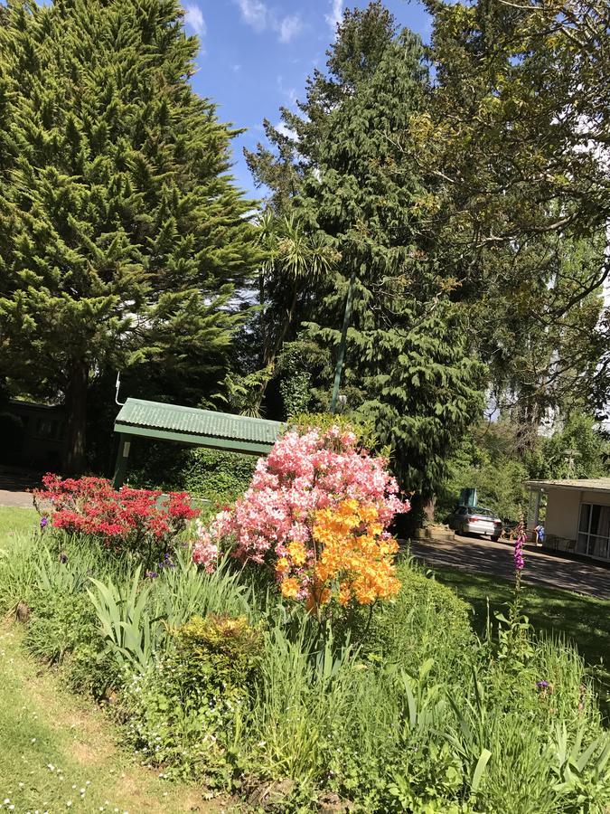 Golden Springs Motel, Holiday Park 罗托鲁阿 外观 照片