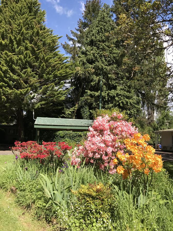 Golden Springs Motel, Holiday Park 罗托鲁阿 外观 照片